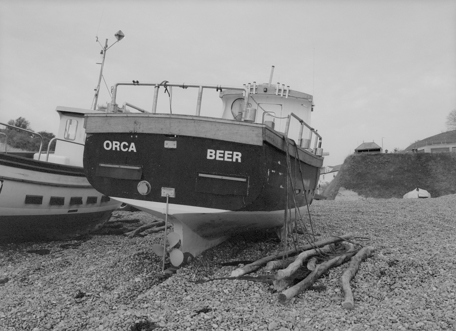 Orca